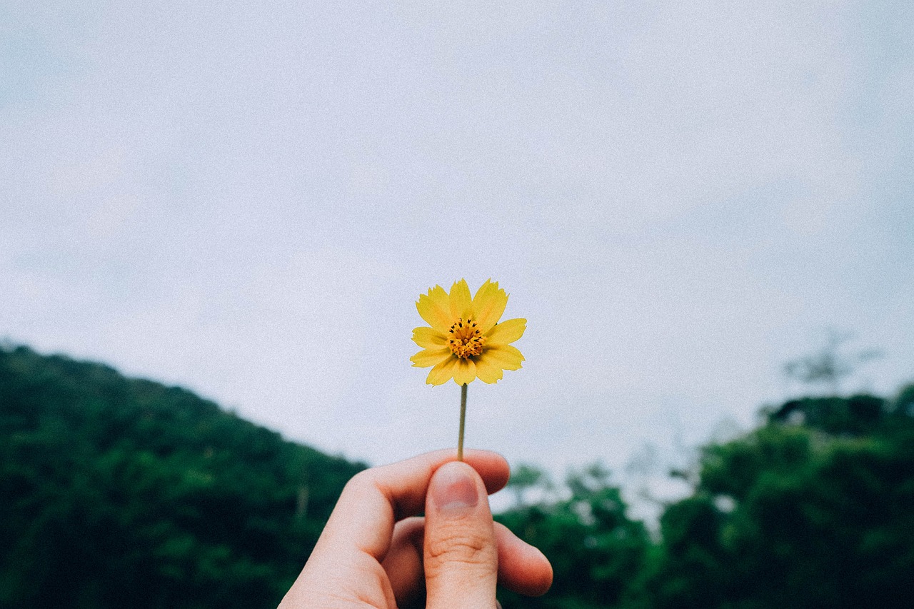 奶茶培训一天总结语文