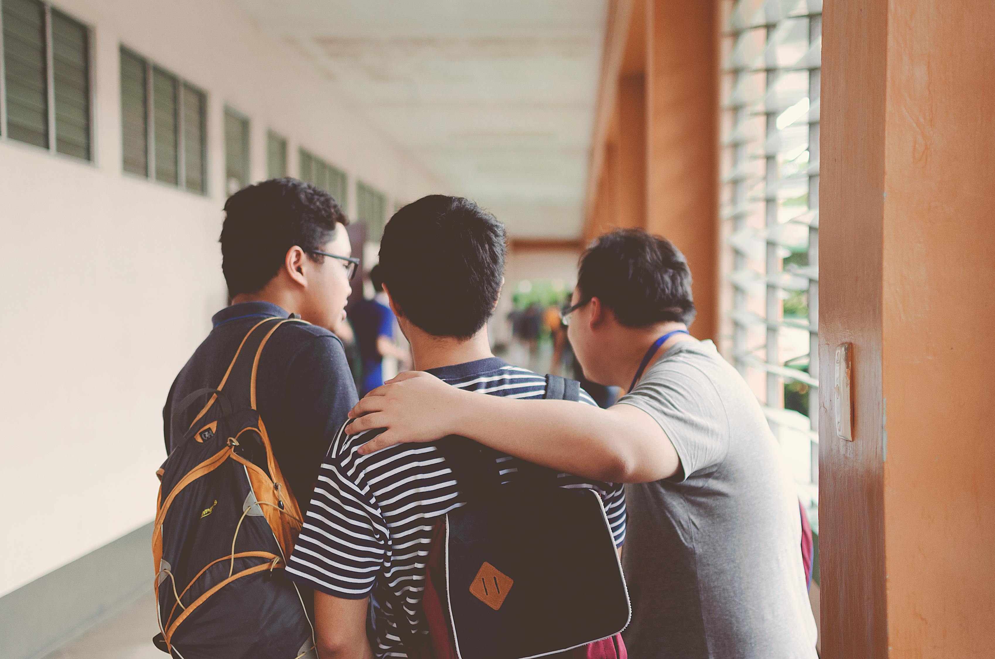 烘焙学校的学习之旅，探索烘焙的奥秘